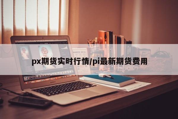 px期货实时行情/pi最新期货费用